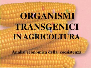 ORGANISMI TRANSGENICI IN AGRICOLTURA Analisi economica della coesistenza