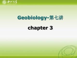 Geobiology- 第七讲 chapter 3