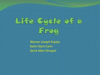 Life Cycle of a Frog