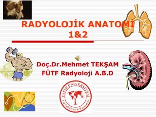 RADYOLOJİK ANATOMİ 1&amp;2