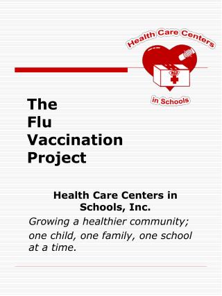 The Flu Vaccination Project