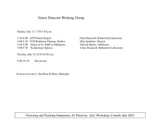 Vertex Detector Working Group