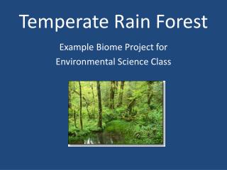 Temperate Rain Forest