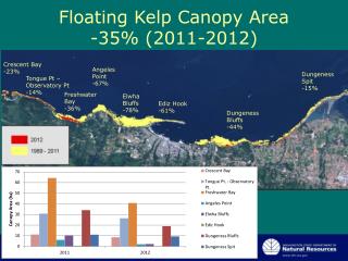 Floating Kelp Canopy Area -35% (2011-2012)