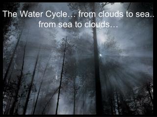 The Water Cycle… from clouds to sea.. from sea to clouds…