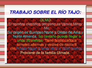 TRABAJO SOBRE EL RÍO TAJO: