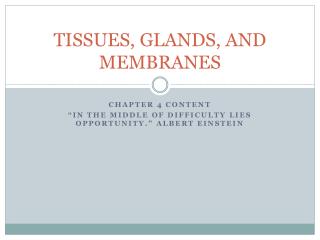 TISSUES, GLANDS, AND MEMBRANES