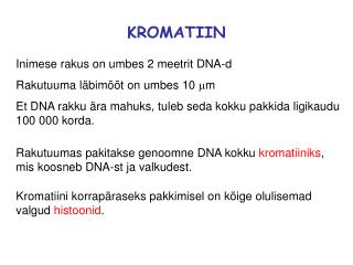 Inimese rakus on umbes 2 meetrit DNA-d Rakutuuma läbimõõt on umbes 10 m m