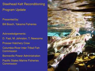 Steelhead Kelt Reconditioning Program Update Presented by: Bill Bosch, Yakama Fisheries