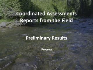 Preliminary Results