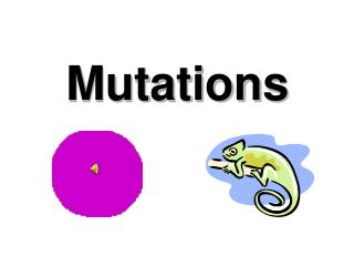 Mutations