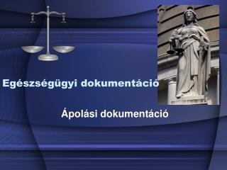 Egészségügyi dokumentáció