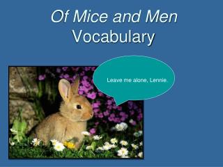 Of Mice and Men Vocabulary