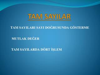 TAM SAYILAR