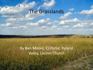 The Grasslands
