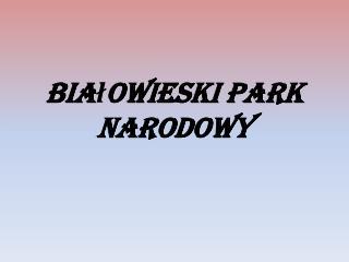 Białowieski Park Narodowy