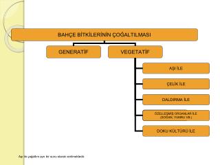 Aşı ile çoğaltım ayrı bir sunu olarak verilmektedir.