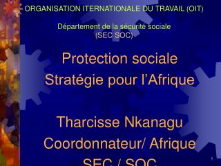 ORGANISATION ITERNATIONALE DU TRAVAIL (OIT) Département de la sécurité sociale (SEC SOC)