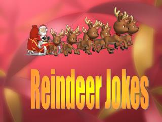 Reindeer Jokes