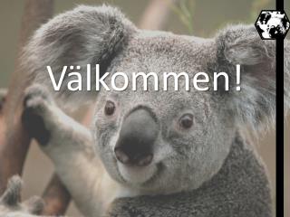 Välkommen!