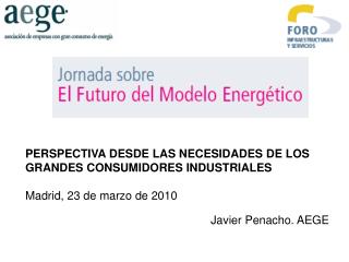 PERSPECTIVA DESDE LAS NECESIDADES DE LOS GRANDES CONSUMIDORES INDUSTRIALES