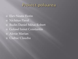 Proiect : poluarea
