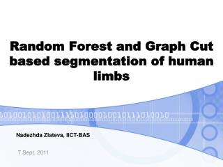 Random Forest and Graph Cut based segmentation of human limbs