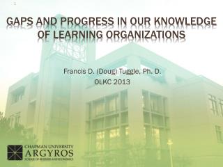 Gaps and progress in our Knowledge of learning organizations