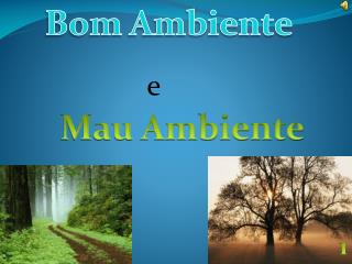 Bom Ambiente