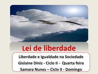 L ei de liberdade