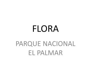 FLORA