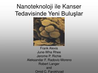 Nanoteknoloji ile Kanser Tedavisinde Yeni Buluşlar