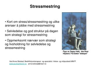 Kort om stress/stressmestring og ulike arenaer å jobbe med stressmestring