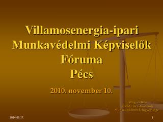 Villamosenergia-ipari Munkavédelmi Képviselők Fóruma Pécs 2010. november 10.