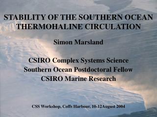 STABILITY OF THE SOUTHERN OCEAN THERMOHALINE CIRCULATION