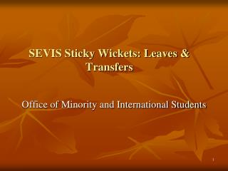 SEVIS Sticky Wickets: Leaves &amp; Transfers