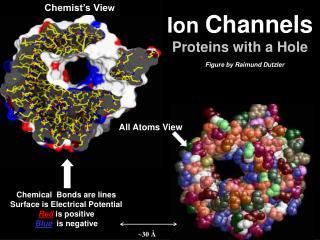 Chemical Bonds are lines Surface is Electrical Potential Red is positive Blue is negative