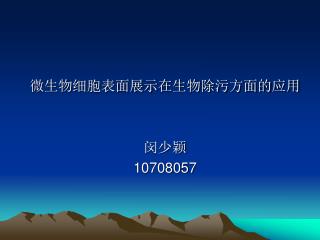 微生物细胞表面展示在生物除污方面的应用 闵少颖 10708057