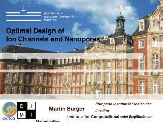 Optimal Design of Ion Channels and Nanopores