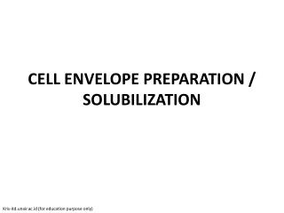 CELL ENVELOPE PREPARATION / SOLUBILIZATION