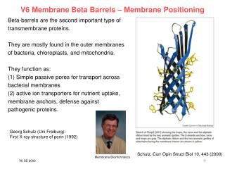 V6 Membrane Beta Barrels – Membrane Positioning