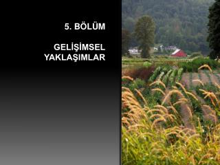 5. BÖLÜM GELİŞİMSEL YAKLAŞIMLAR