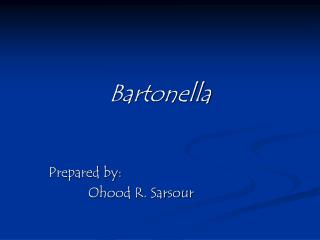 Bartonella