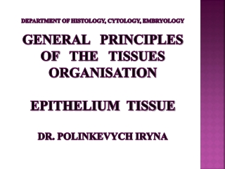 Epithelial tissue