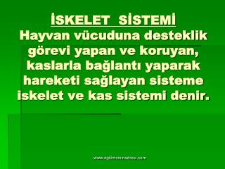 HAYVANLARDA İSKELET: 	Hayvanlarda iç ve dış iskelet olmak üzere iki çeşit iskelet vardır.