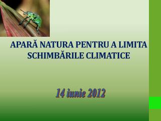 APARĂ NATURA PENTRU A LIMITA SCHIMBĂRILE CLIMATICE