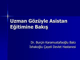 Uzman Gözüyle Asistan Eğitimine Bakış