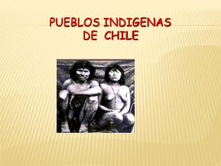 PUEBLOS INDIGENAS DE CHILE