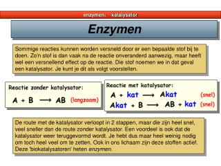 enzymen: katalysator
