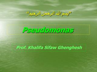 ”بسم الله الرحمن الرحيم“ Pseudomonas